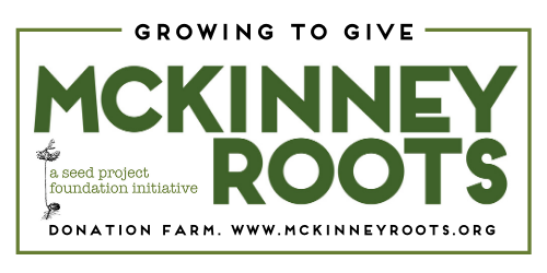 The Seed Project Foundation